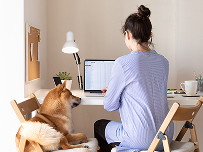 Back view of a woman sitting at a desk using her computer for work, a dog sit in the chair to her left