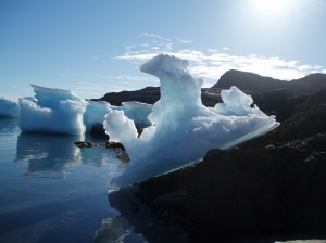 ice swan